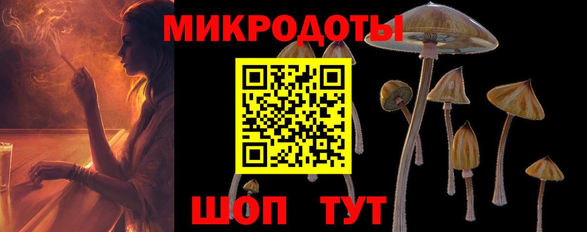 Северобайкальск  Галлюциногенные грибы Psilocybe  Вход с VPN 